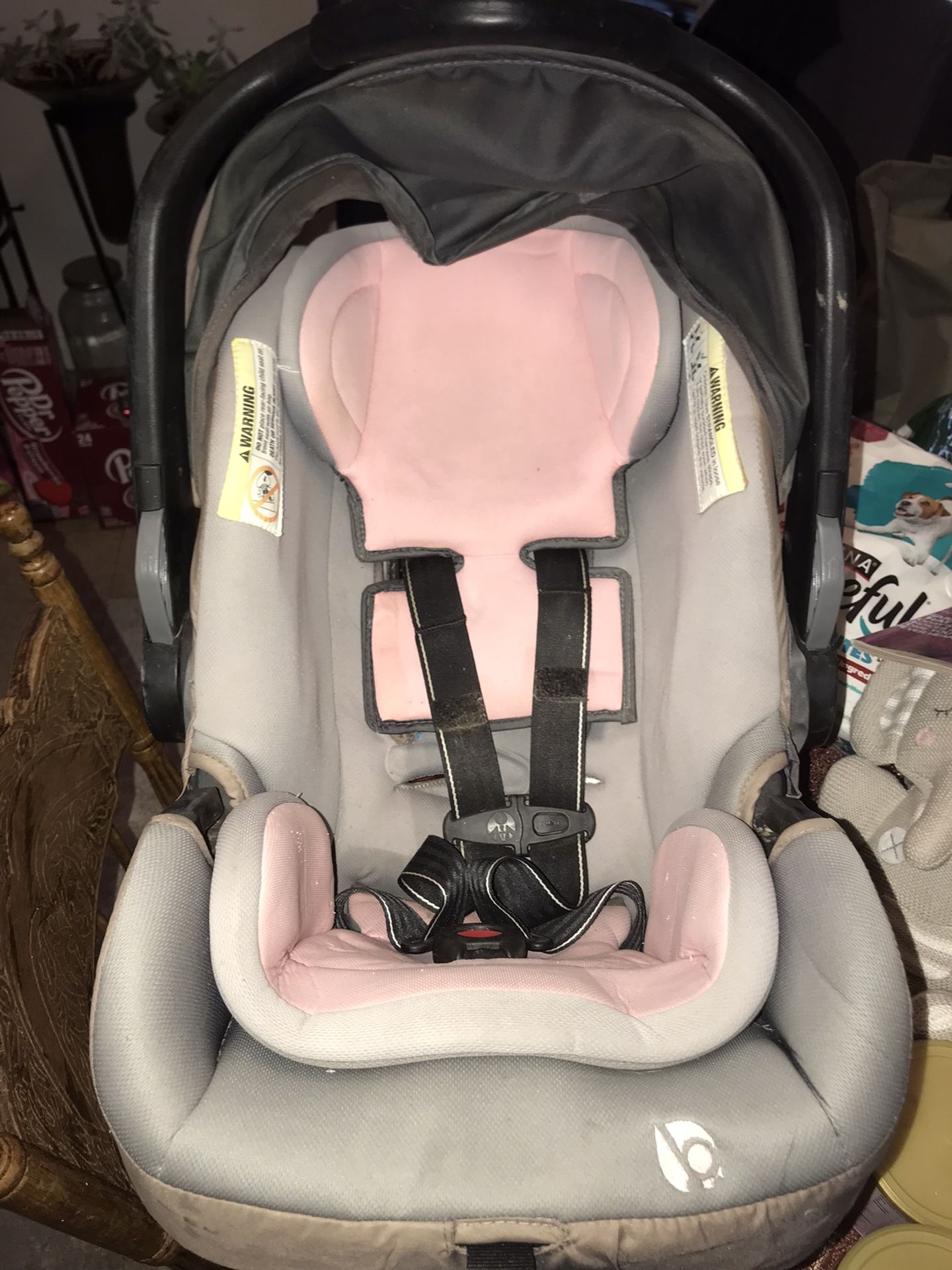 Car seat Bundle