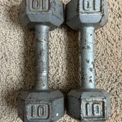 10lb Weights Dumbbell Set 