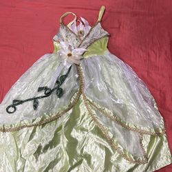 Disney Princess And The Frog Tiana Dress Size 4-6
