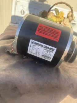 Cooler motor