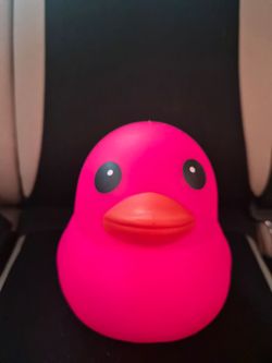 Squishy Duck