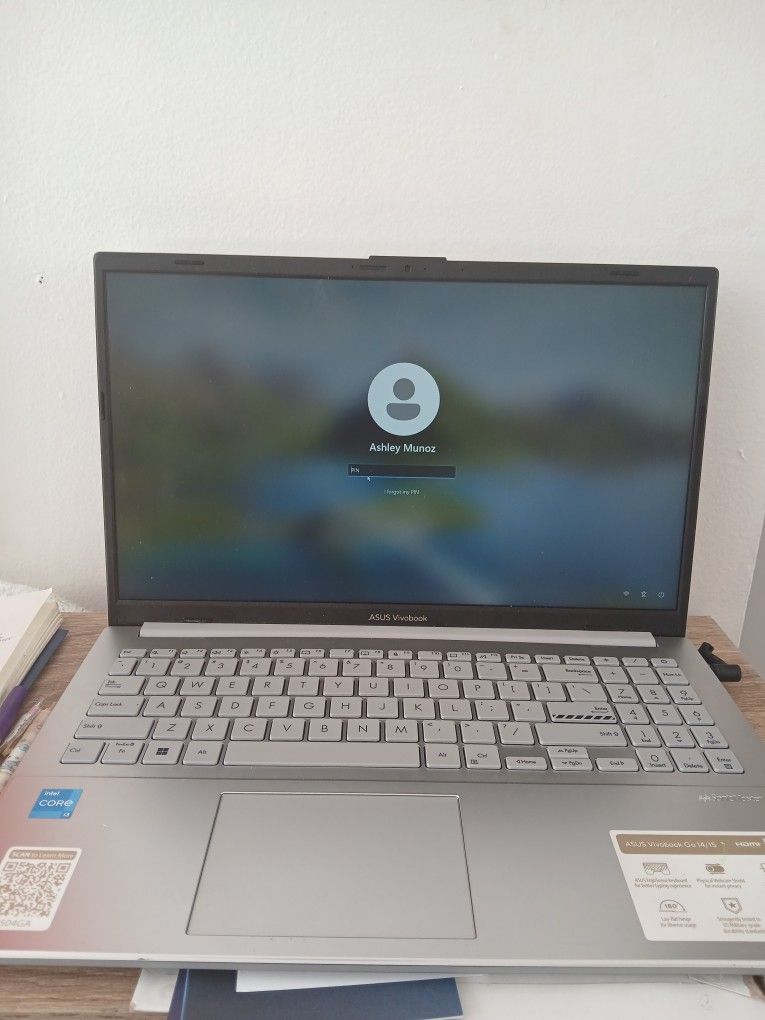 Asus Vivobook Go