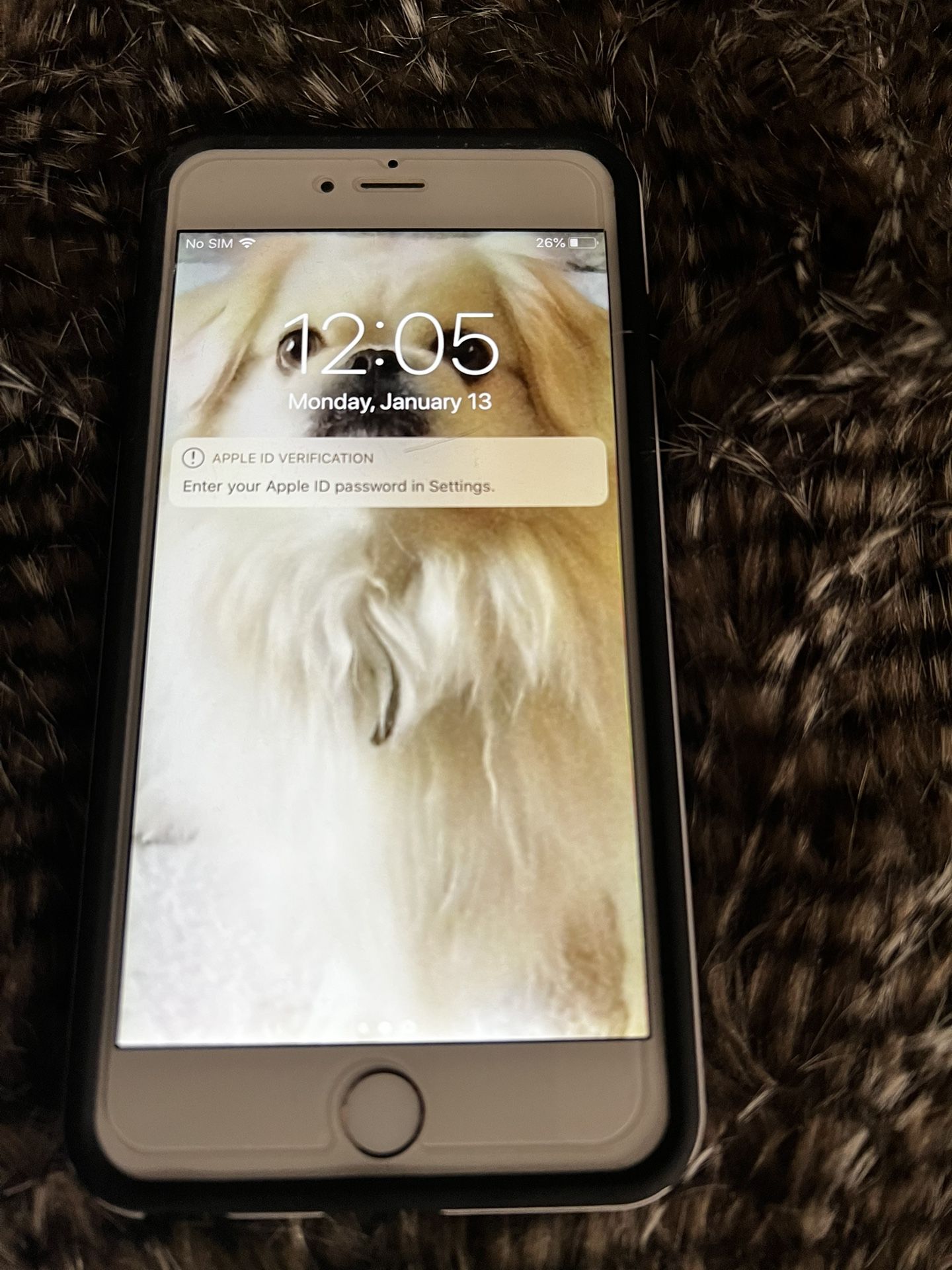 iPhone 6 Plus Unlocked Works Great