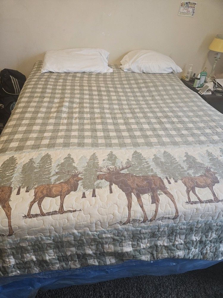 Queensize Box Spring And Mattress