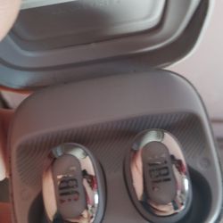 JBL Ear Buds 