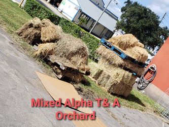 Cow Alpha Hay Gardening Coverage