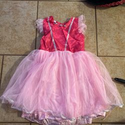 Princess Costume size 5T 