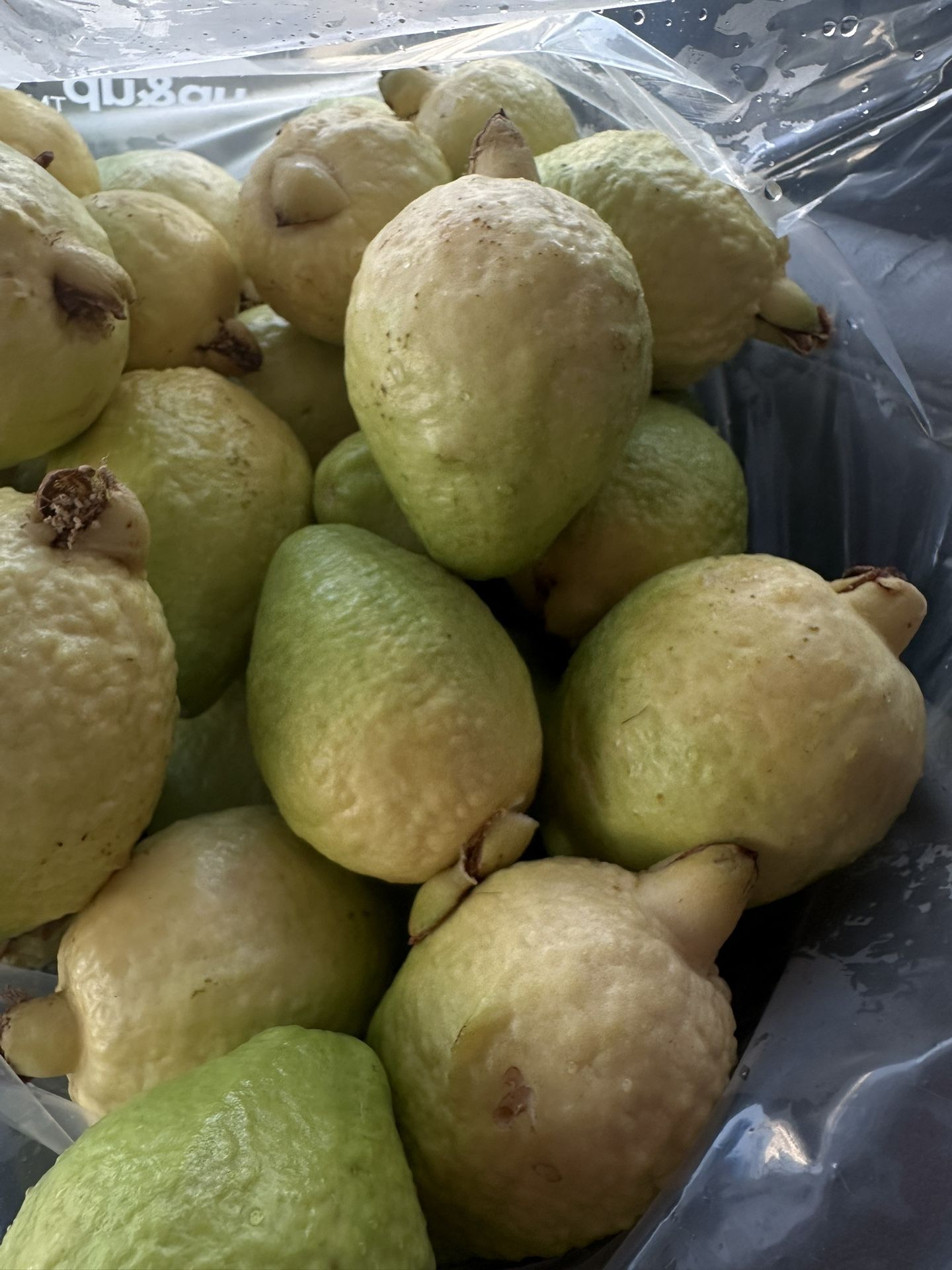 Guavas
