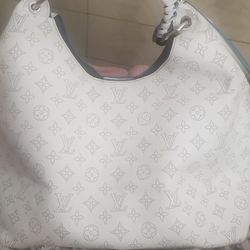 Louie Vitton Bag
