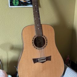 Peavey Acoustic Guitar