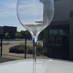 Huge Wine Glass