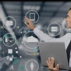 IT Professional Services