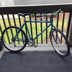 Giant Iguana Bike