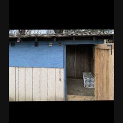 Big Chicken Coop