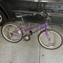 Trek And Schwinn Bikes 