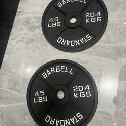 New in box never used pair of 45lb Olympic weight plates total 90lb have ez curl bar new in bag for sale too for additional price