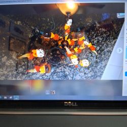 Betty Boop String Lights