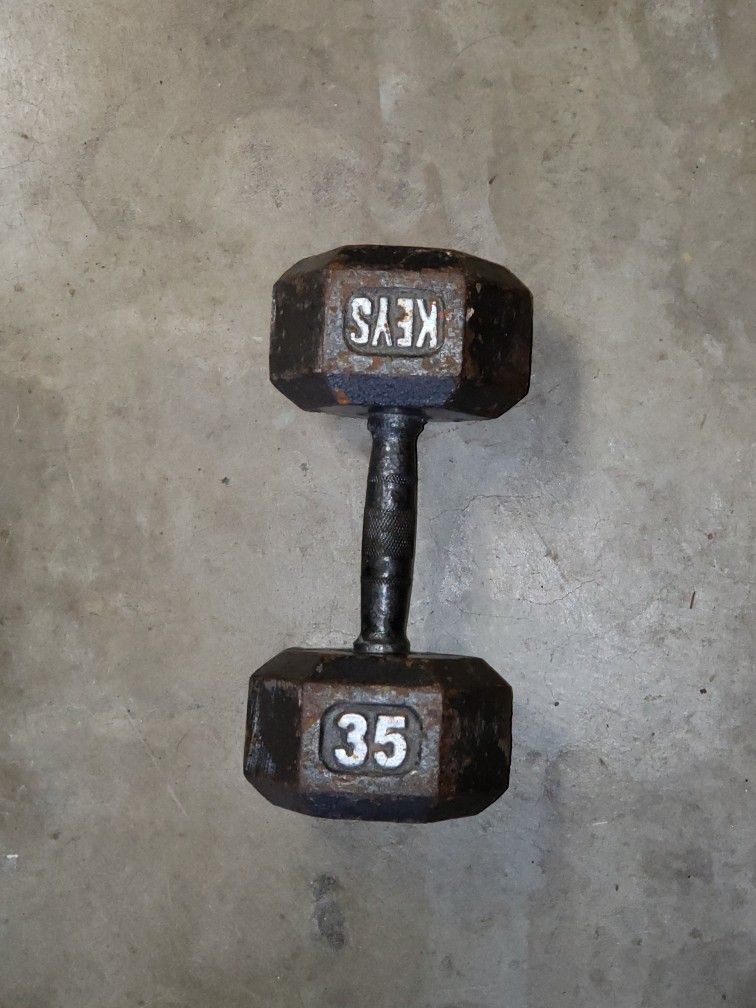 30lb Dumbell