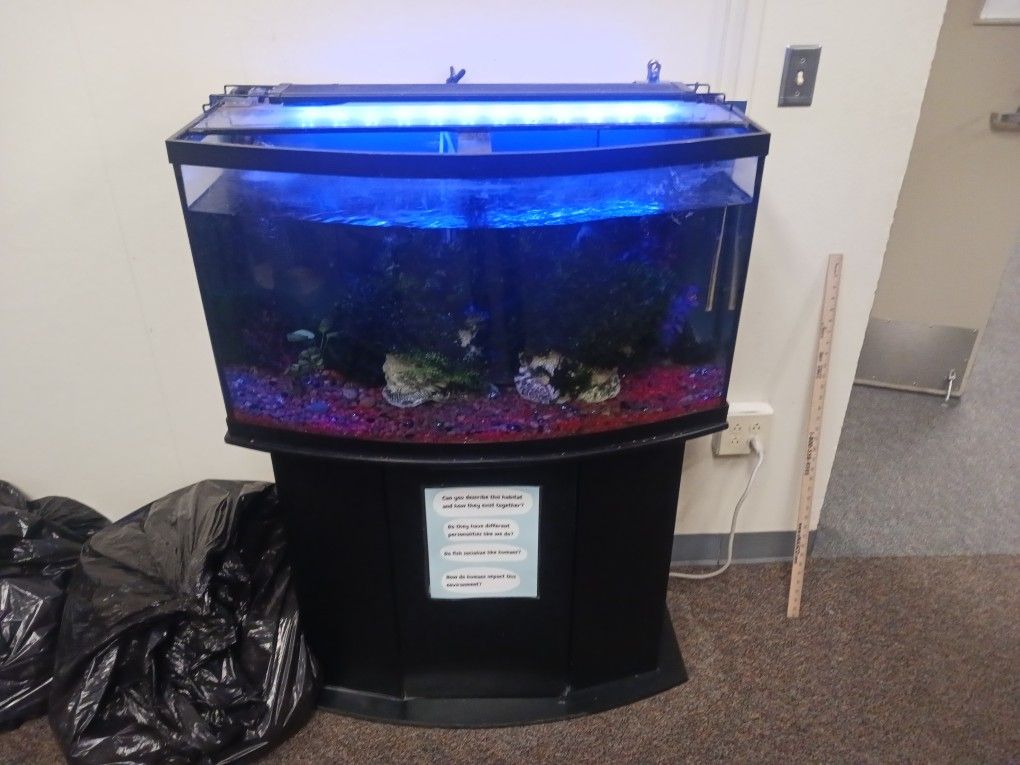 Aquarium, Large Fresh Water 36 X 16 X 21