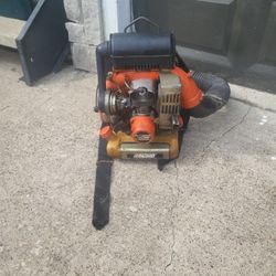 1974 Echo Blower 