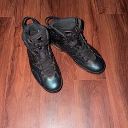 Air Jordan Chameleon 6s