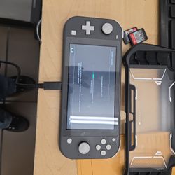 Nintendo switch light 