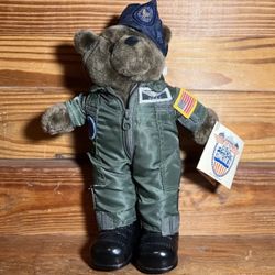 Bear Forces of America United States Air Force USAF Teddy ~ 11"