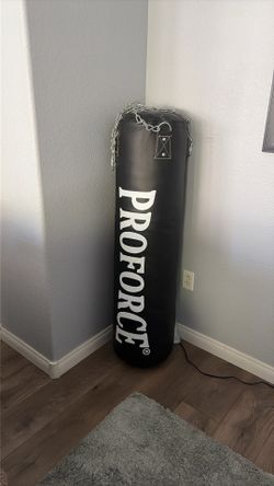 Punching bag 100 pounds