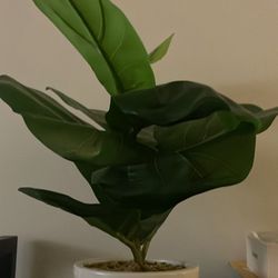 Artificial Plant