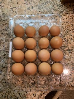 🍳 eggs farm fresh