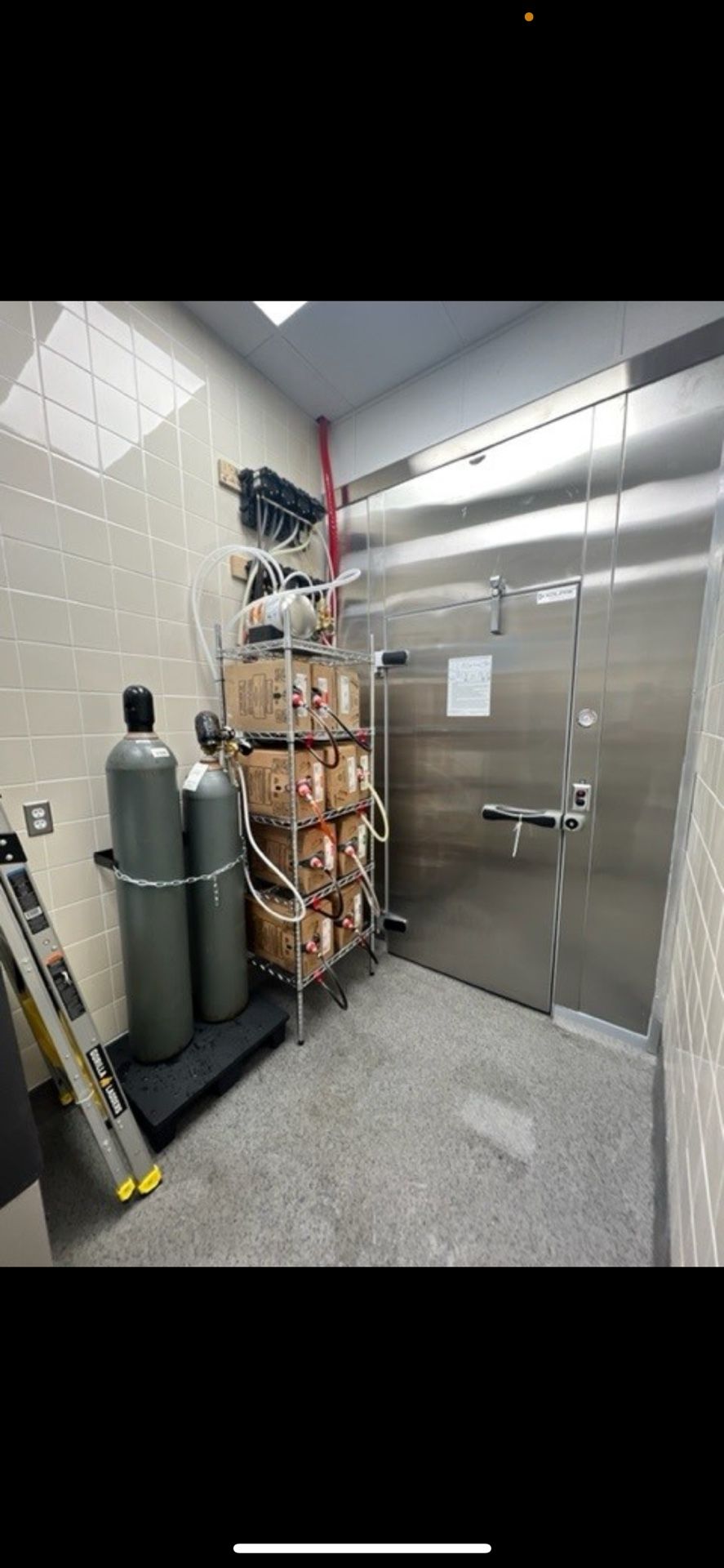 Walk-In Cooler Two Years Old Kolas