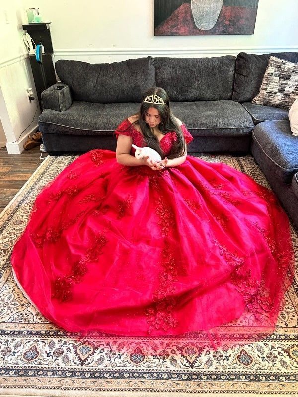 Vestido De 15 Quinceañera, 15 Quinceanera Dress