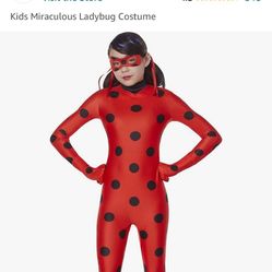Ladybug Costume