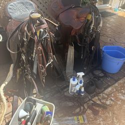 Saddles Tack Everything But The horse