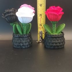 Mothers Day Rose Storage Container