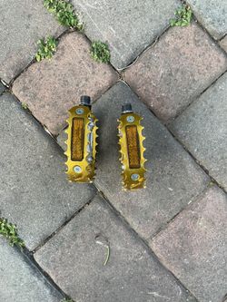 Gold Se Bear Traps