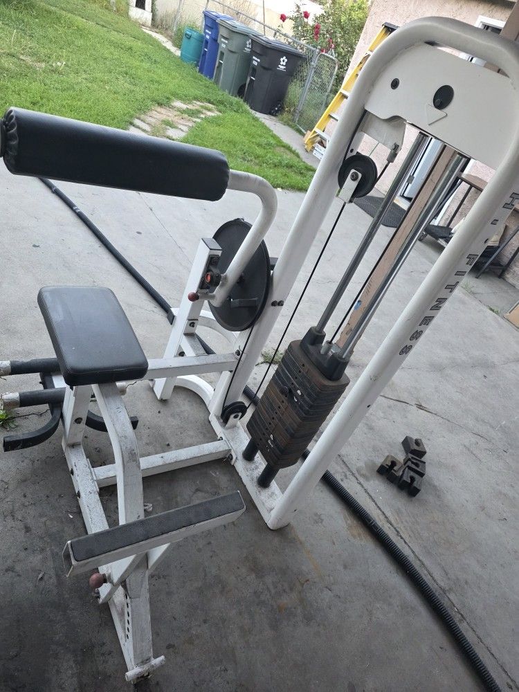 AB Abdominal And Back Fitness Workout Exercise Home Gym Weight Machine