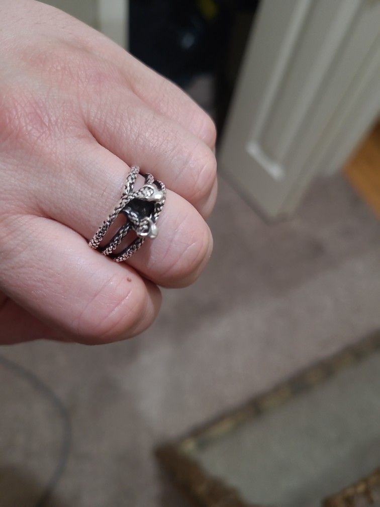 2 Snake Headed Sliver Ring