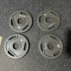 5 Lb Olympic Weight Plates (4)