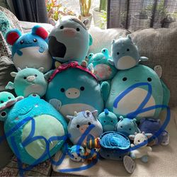 Bag Full Of Squishmallow And Some Other Plushies