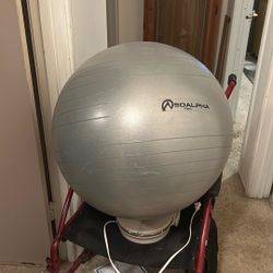 Exercise Ball And Ring