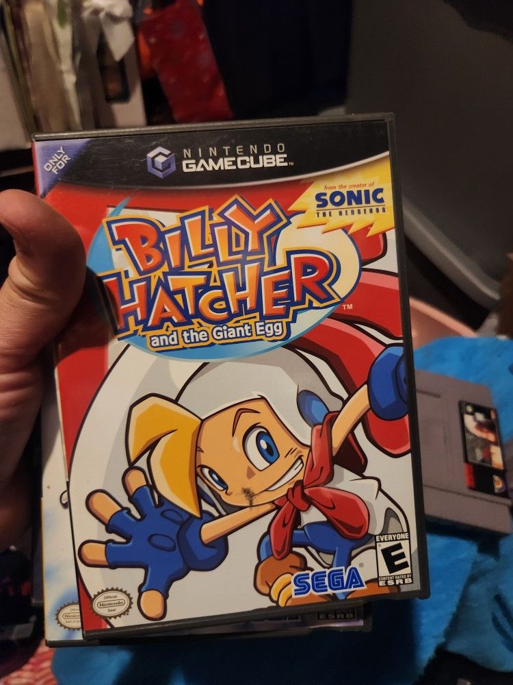 Nintendo Game Cube Game