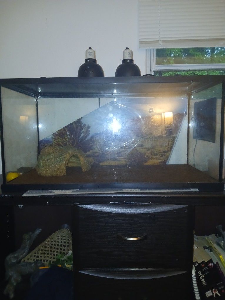 Lizard Tank 60 Gallons