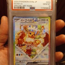 Eevee💥🎊💥🎊