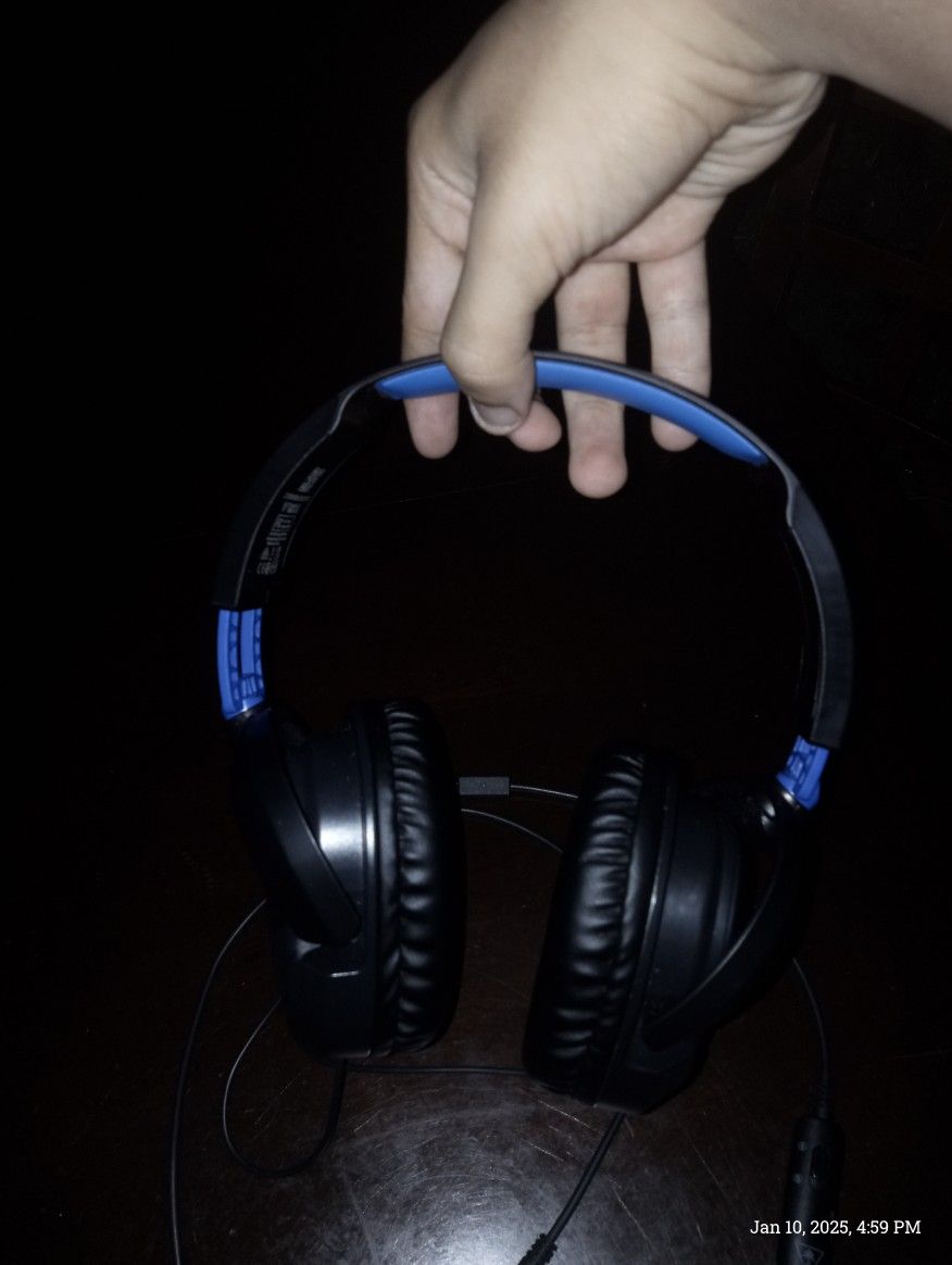 Turtle Beach Headphones