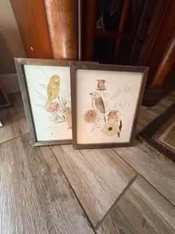 Framed Bird and Floral Art Prints Set of 2