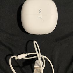 WT Translation Earbuds