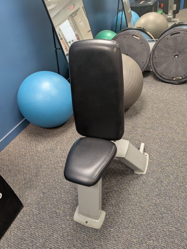 Nautilus Upright Bench 