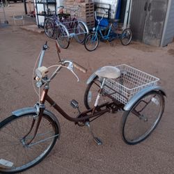 Vintage Trike - Tricycle Project