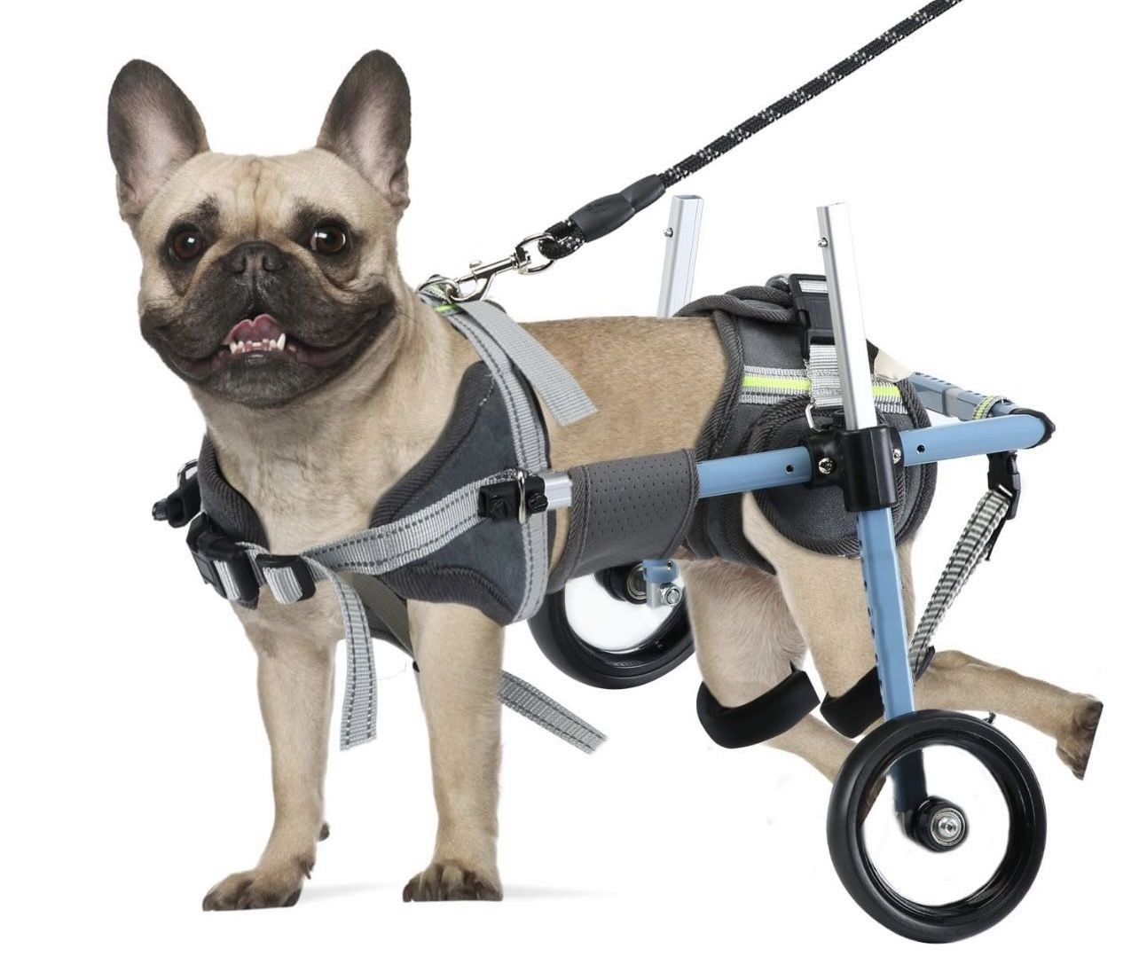 Doggy Weelchair New